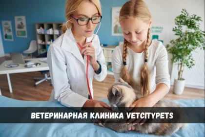 ветеринарная клиника Vetcitypets