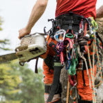 Professional Arborist