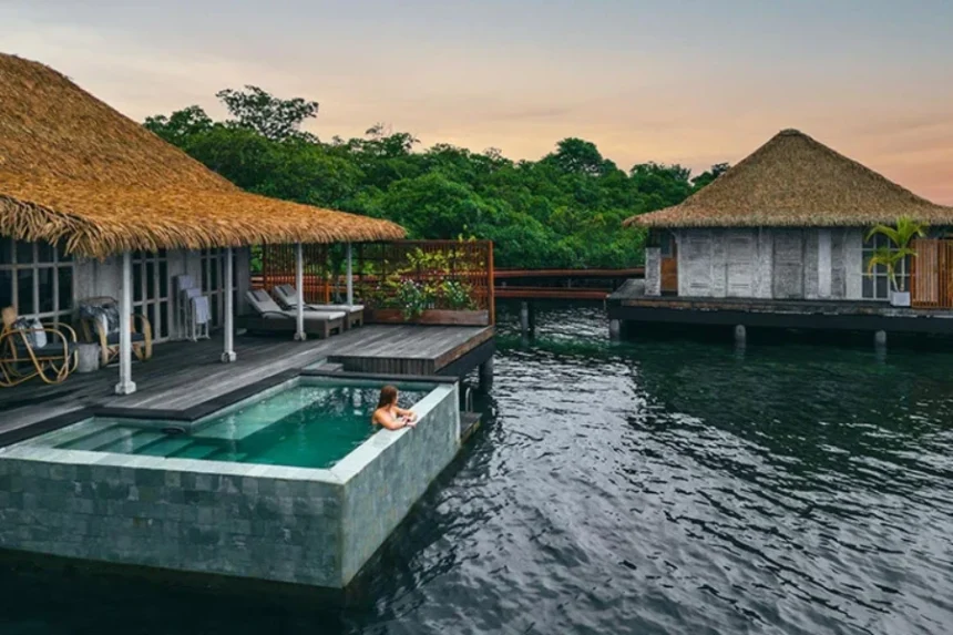 the rise of solo travelers creativeculturetribe