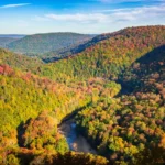 nj low voltage license needed for ittigation​