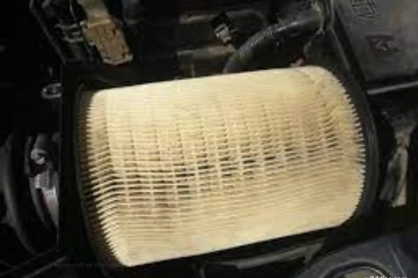 motorcraft air filter - fa2031​