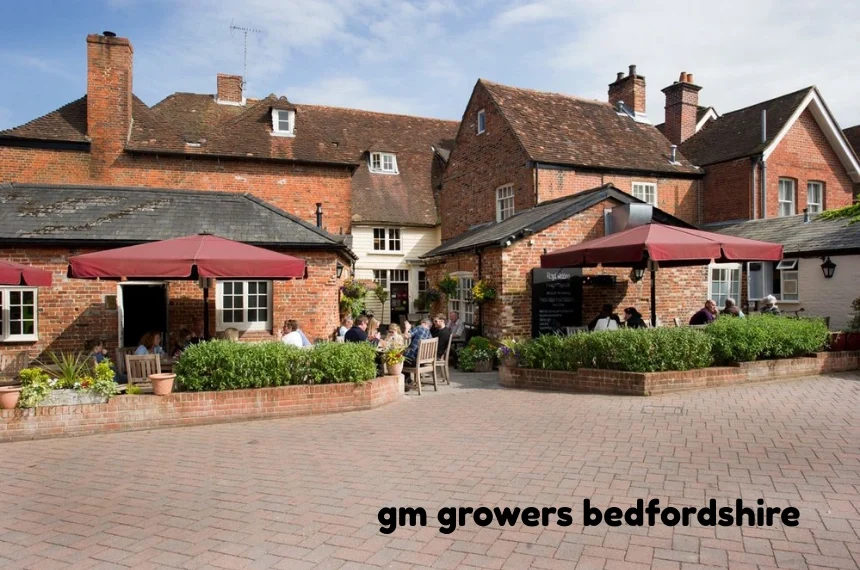 gm growers bedfordshire